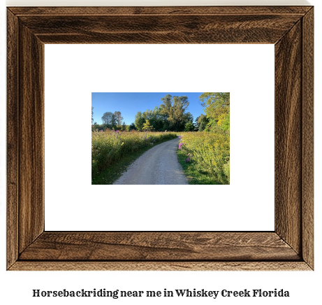 horseback riding near me in Whiskey Creek, Florida